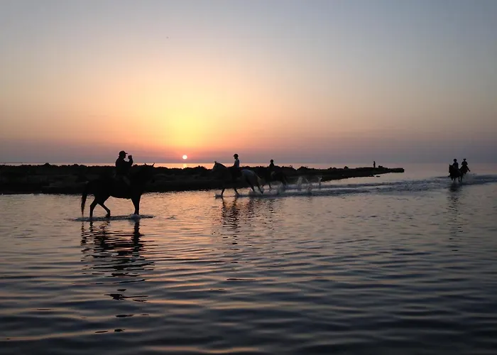 Al Vecchio Pontile Vista Mare לינה וארוחת בוקר מרסאלה